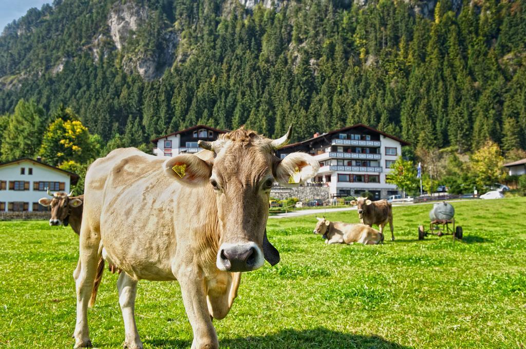 Familotel Bavaria Pfronten-Familien Hotel-Alles Inklusive Konzept Екстер'єр фото